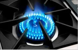 Capital Cooking 30" Freestanding All Gas Range With Liquid Propane Gas
