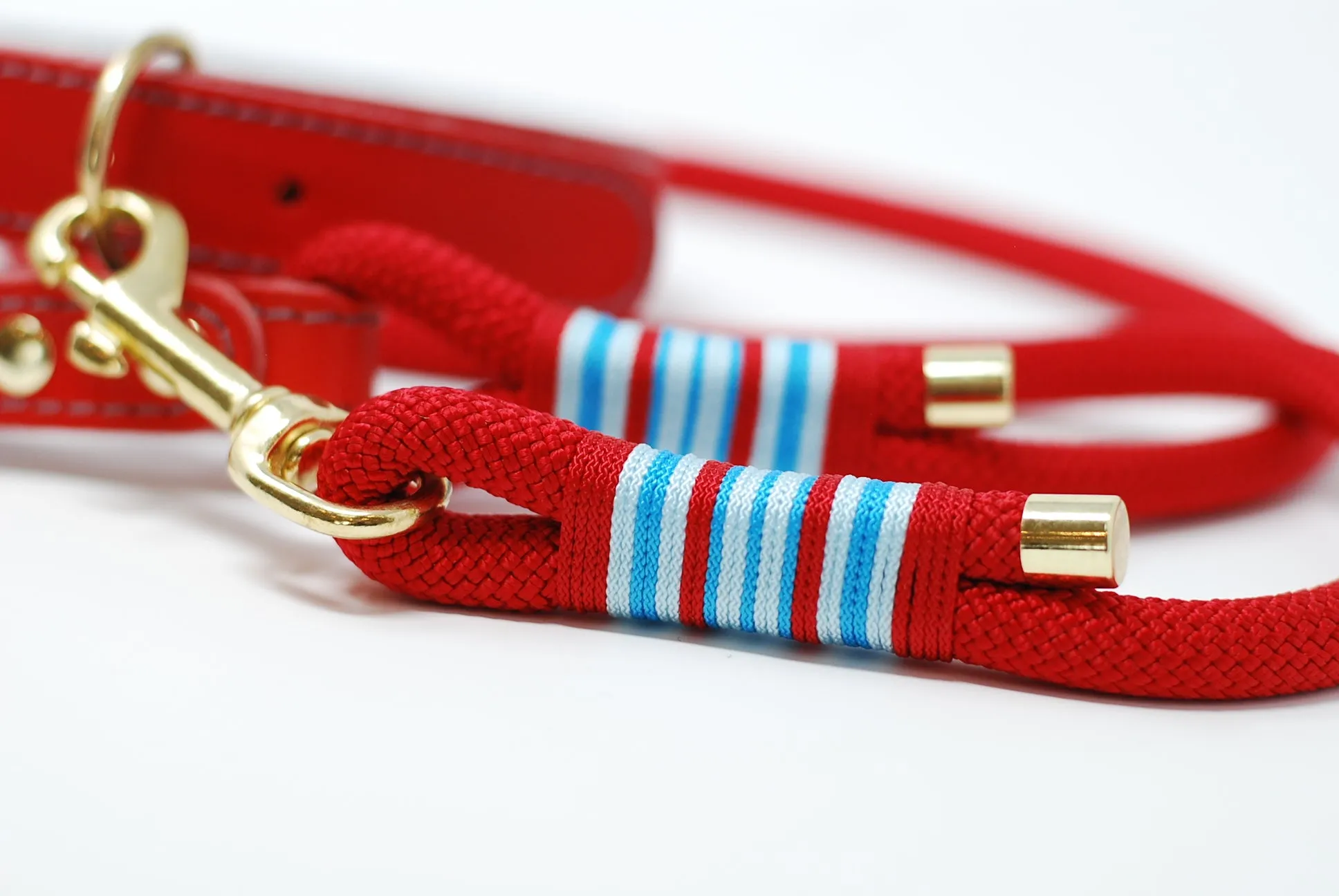 Leather and rope dog leads